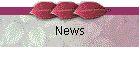 News & New Releases